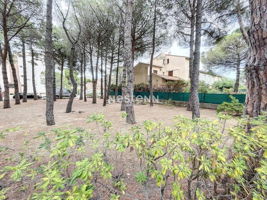 2980-Appartement 1 Ch A 100M De La Mer Argeles-sur-Mer Exterior photo