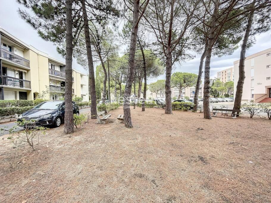 2980-Appartement 1 Ch A 100M De La Mer Argeles-sur-Mer Exterior photo